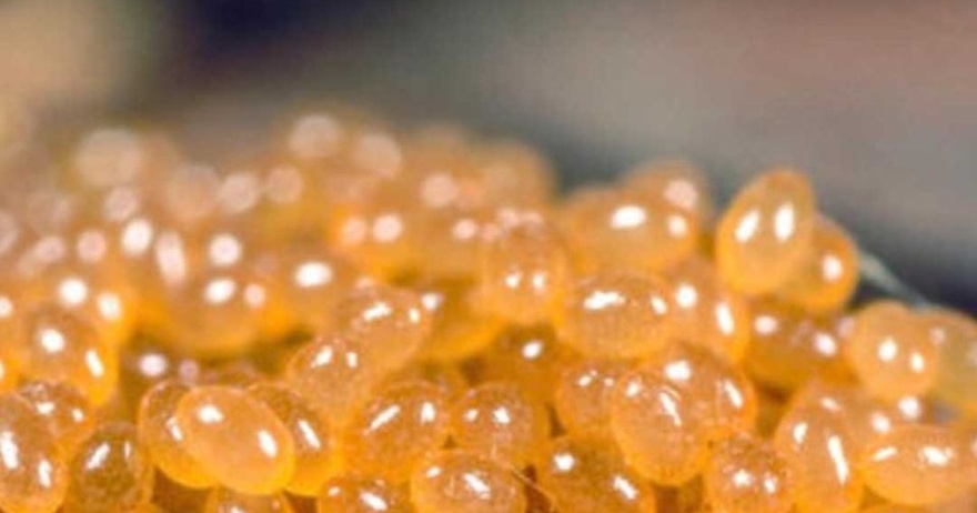 If you see a small pile of jelly balls like this in your garden or home, do this immediately