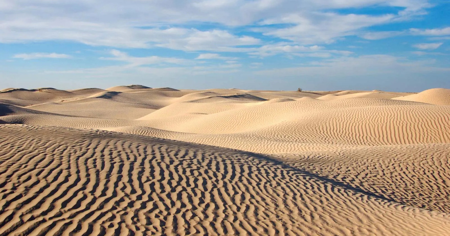 The Sahara Desert Is Starting To Turn Green Thanks to Heavy Rain Fall