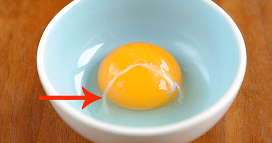 What The White Stringy Bit Attached To Egg Yolk Says About Your Egg