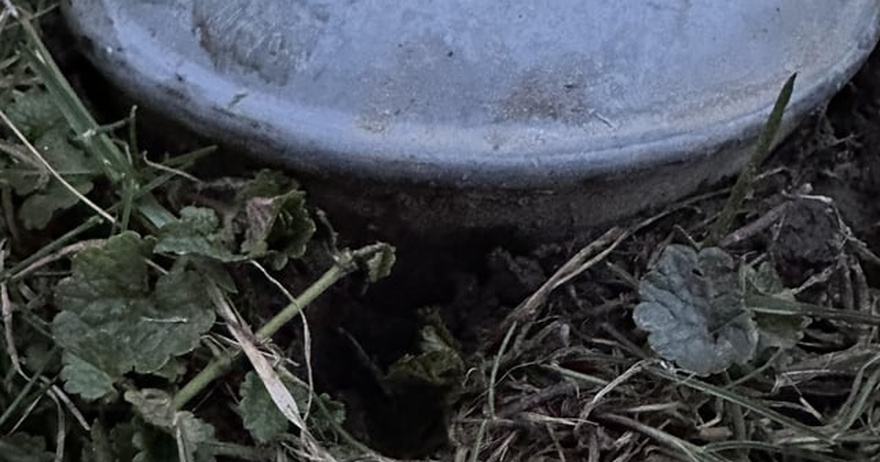 I recently bought a new house and this is in my backyard. Looks like a cap of some sort, about 6 inches in diameter. Feels like metal and is embedded into the ground